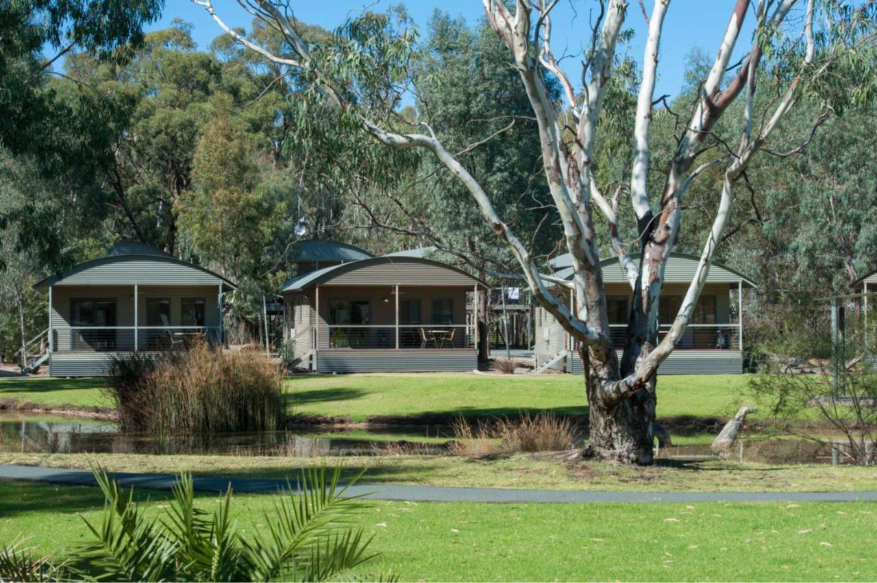 Tasman Holiday Parks - Moama On The Murray Ngoại thất bức ảnh
